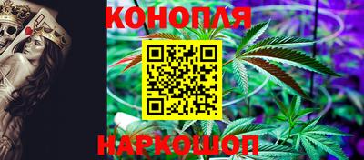 сатива Сланцы