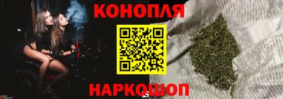сатива Сланцы