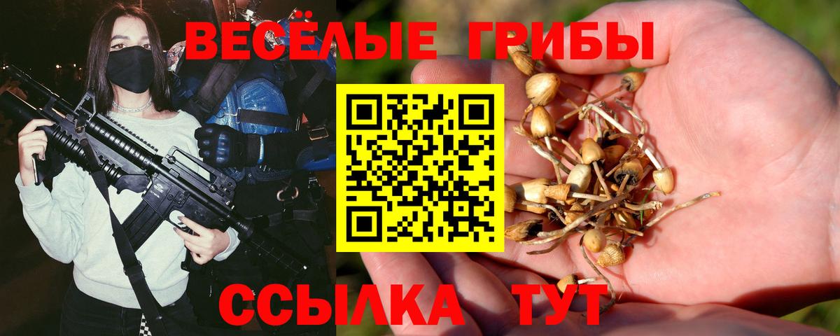 как найти закладки  Вход с VPN  Галлюциногенные грибы Psilocybe  Сланцы  Галлюциногенные грибы прущие грибы 