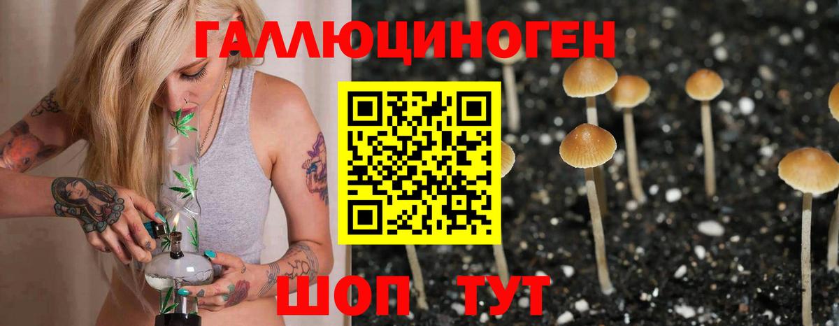 Галлюциногенные грибы мухоморы Сланцы